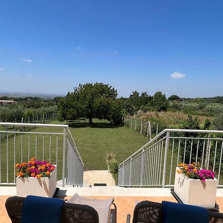 Appartamento La terrazza sul ciliegio Marino Esterno foto